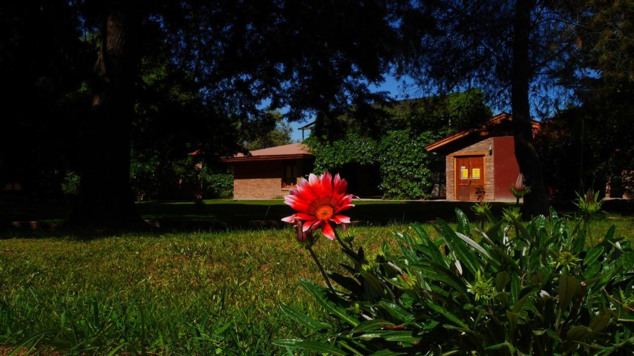 Lujan De Cuyo B&B Exterior foto